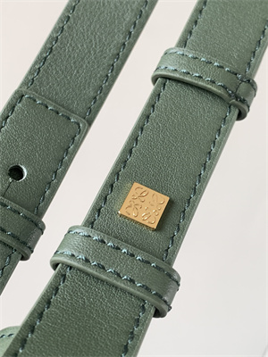 Loewe Compact Hammock bag in Classic calfskin