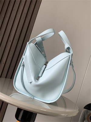 Loewe Compact Hammock bag in Classic calfskin