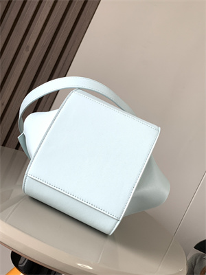 Loewe Compact Hammock bag in Classic calfskin