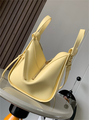 Loewe Compact Hammock bag in Classic calfskin