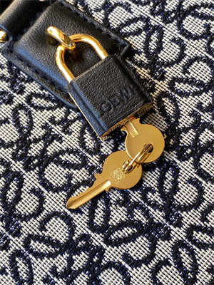 Loewe Amazona 23 Bag In Anagram Jacquard and Calfskin Black