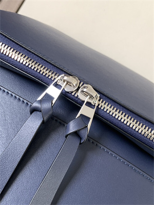 Loewe Goya Backpack In Silk Calfskin Navy Blue