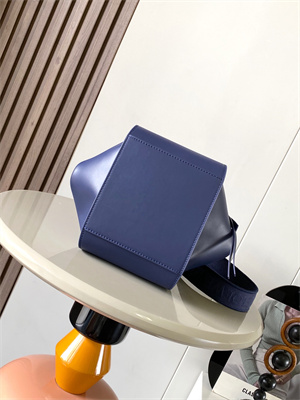 Loewe Compact Hammock bag in satin calfskin With Jacquard Strap