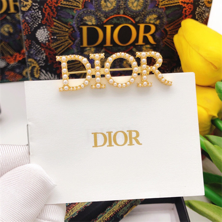Dior Brooch 33174