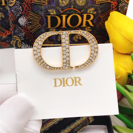 Dior Brooch 33175