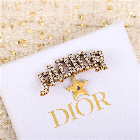 Dior Brooch 33176