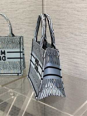 CD Miss Dior Small Book Tote Allover Emb Pale Blue