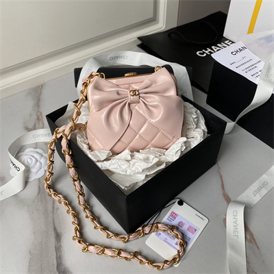 Chanel CLUTCH WITH CHAIN Lambskin Gold-Tone Metal Pink AP4028