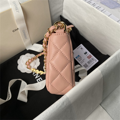Chanel Hobo Bag Lambskin Gold Tone Metal Pink AS3786