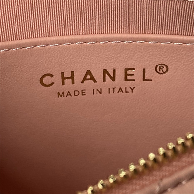 Chanel Hobo Bag Lambskin Gold Tone Metal Pink AS3786