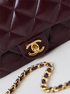 Cha.nel Mini Flap Bag with Top Handle Shiny Lambskin & Gold-Tone Metal Burgundy AS5032