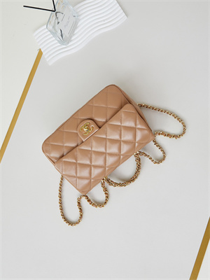 Cha.nel Mini Flap Bag with Top Handle Shiny Lambskin & Gold-Tone Metal Brown AS5043