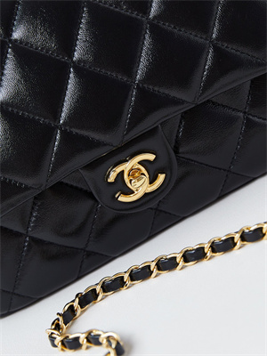 Cha.nel Mini Flap Bag with Top Handle Shiny Lambskin & Gold-Tone Metal Black AS5043