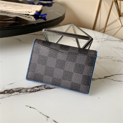 L.V Pocket Organizer Damier Graphite Canvas N64432
