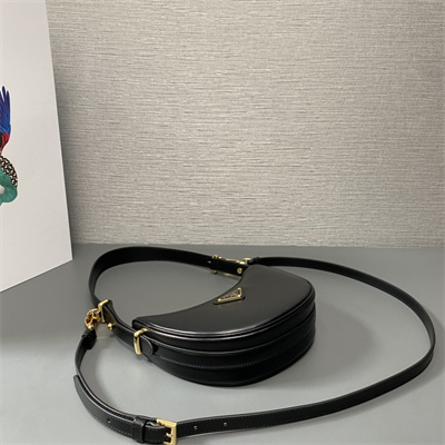 Prada Arqué leather Mini shoulder bag Black Color 1BC199