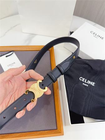 Celine Triomphe Belt 25MM Calfskin Gold Tone Metal Black