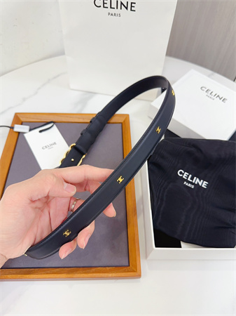 Celine Triomphe Belt 25MM Calfskin Gold Tone Metal Black