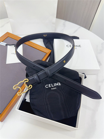 Celine Triomphe Belt 25MM Calfskin Gold Tone Metal Black