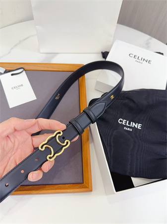 Celine Triomphe Belt 25MM Calfskin Gold Tone Metal Black