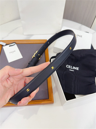 Celine Triomphe Belt 25MM Calfskin Gold Tone Metal Black