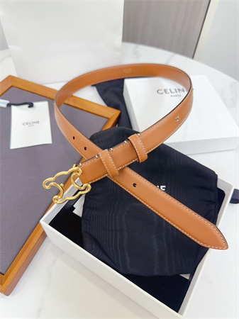 Celine Triomphe Belt 25MM Calfskin Gold Tone Metal Brown