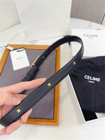 Celine Triomphe Belt 25MM Calfskin Gold Tone Metal Black