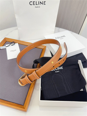 Celine Triomphe Belt 25MM Calfskin Gold Tone Metal Brown