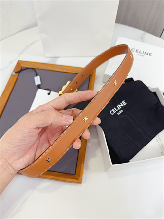 Celine Triomphe Belt 25MM Calfskin Gold Tone Metal Brown