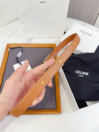 Celine Triomphe Belt 25MM Calfskin Silver Tone Buckle Brown