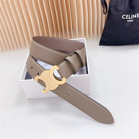 Celine Triomphe Belt 34MM Calfskin Shinny Gold Tone Buckle Grey