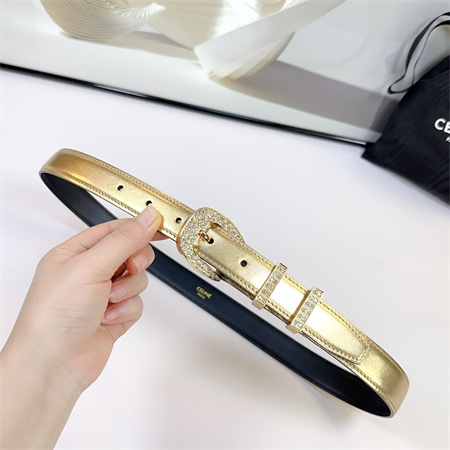 Celine Belt 25MM Calfskin In Gold Color