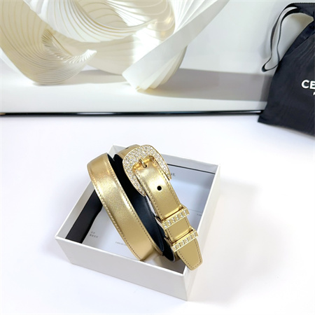 Celine Belt 25MM Calfskin In Gold Color