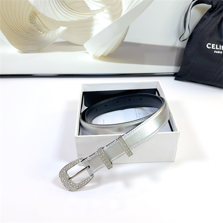 Celine Belt 25MM Calfskin In Silver Color