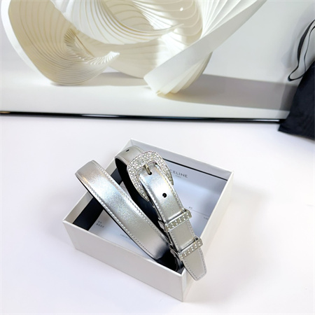Celine Belt 25MM Calfskin In Silver Color