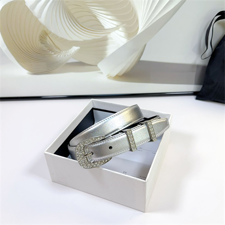 Celine Belt 25MM Calfskin In Silver Color