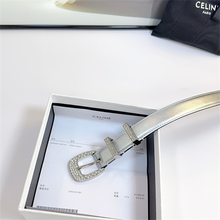 Celine Belt 25MM Calfskin In Silver Color