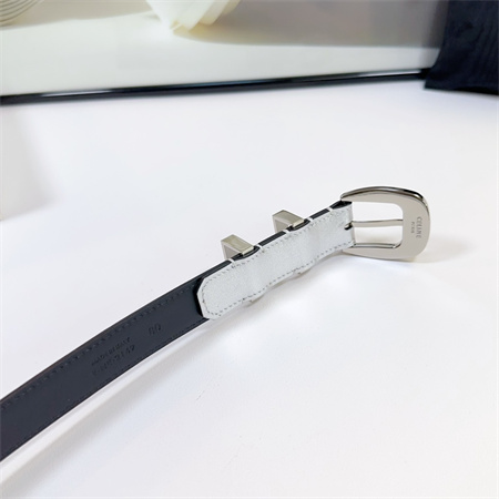 Celine Belt 25MM Calfskin In Silver Color