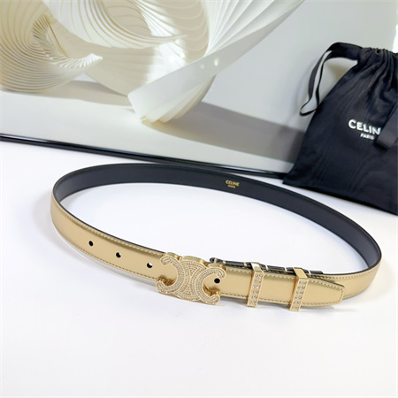 Celine Triomphe Belt 25MM Calfskin In Gold Color