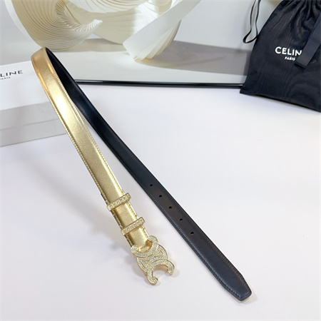 Celine Triomphe Belt 25MM Calfskin In Gold Color