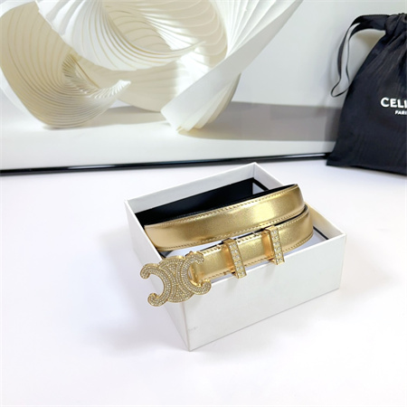 Celine Triomphe Belt 25MM Calfskin In Gold Color