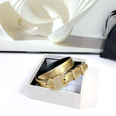 Celine Triomphe Belt 25MM Calfskin In Gold Color