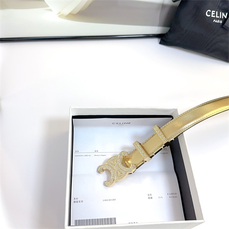 Celine Triomphe Belt 25MM Calfskin In Gold Color