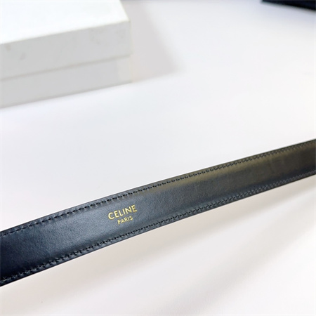 Celine Triomphe Belt 25MM Calfskin In Gold Color