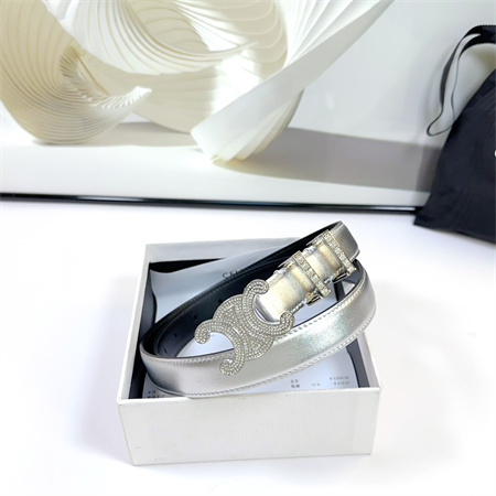 Celine Triomphe Belt 25MM Calfskin In Silver Color