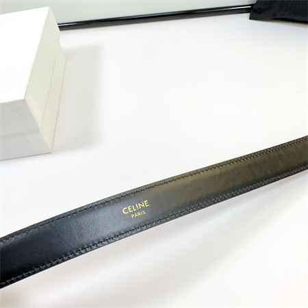 Celine Triomphe Belt 25MM Calfskin In Silver Color