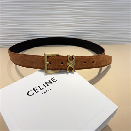 Celine TEEN Triomphe Belt 30MM Suded Gold Tone Buckle Brown