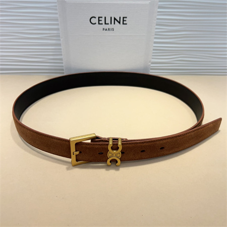 Celine TEEN Triomphe Belt 30MM Suded Gold Tone Buckle Brown