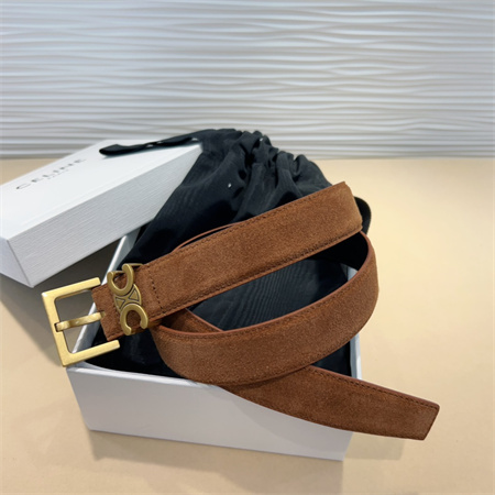 Celine TEEN Triomphe Belt 30MM Suded Gold Tone Buckle Brown