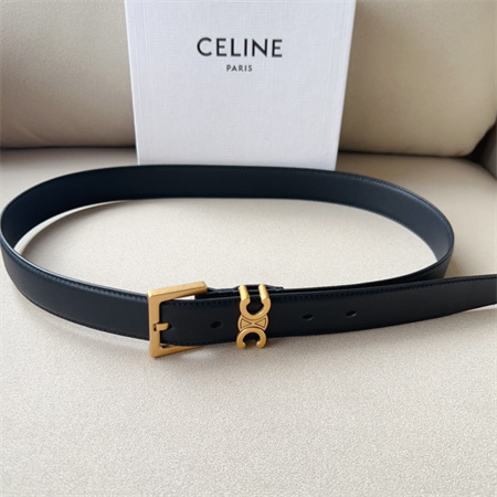 Celine TEEN TRIOMPHE Belt 30MM Calfskin Gold Tone Buckle Black