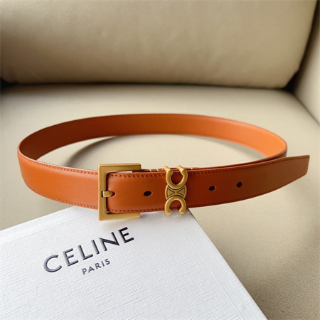 Celine TEEN TRIOMPHE Belt 30MM Calfskin Gold Tone Buckle Brown